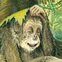 Kinderbuchillustration Affen