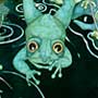 Illustration / Frosch