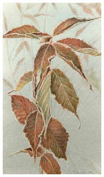  illustration Blätter im Winter