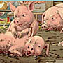 Illustration Kinderbuchillustration / Bilderbuch:Im Schweinestall