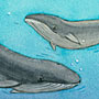 Illustration Wale