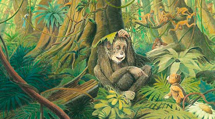 Illustration Teddy bei den Affen, Micheal Ende