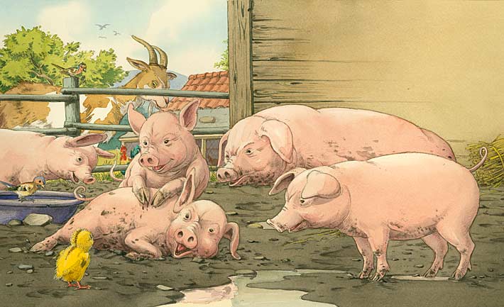 Kinderbuchillustration Küken im Schweinestall