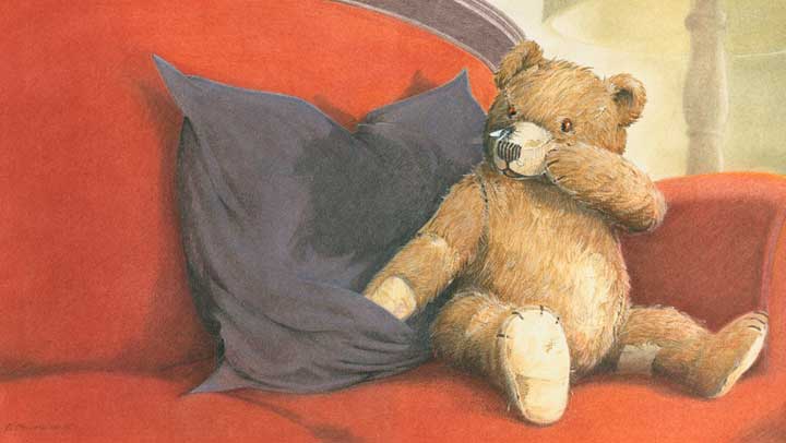 Teddy sitzt auf dem Sofa,Fliege auf der Nase